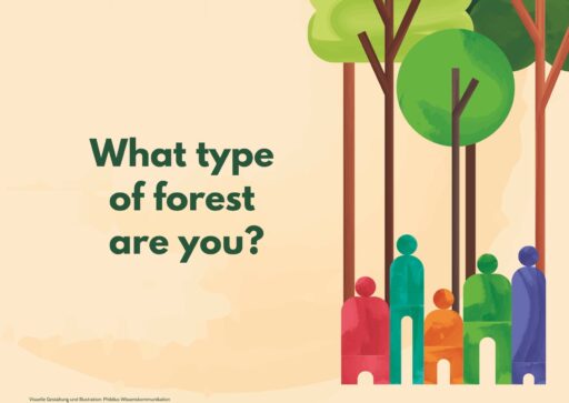 What type of forest are you?
