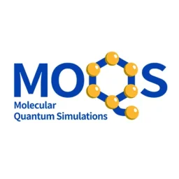 Molecular Quantum Simulations